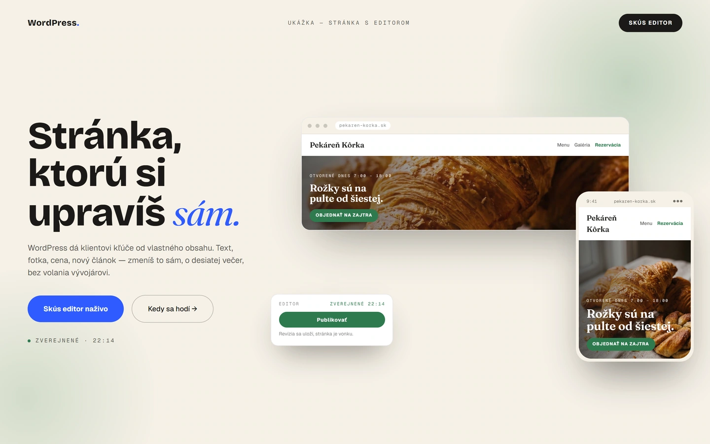 WordPress — celý úvod webu, Správa obsahu